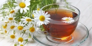 La manzanilla y sus beneficios para la salud