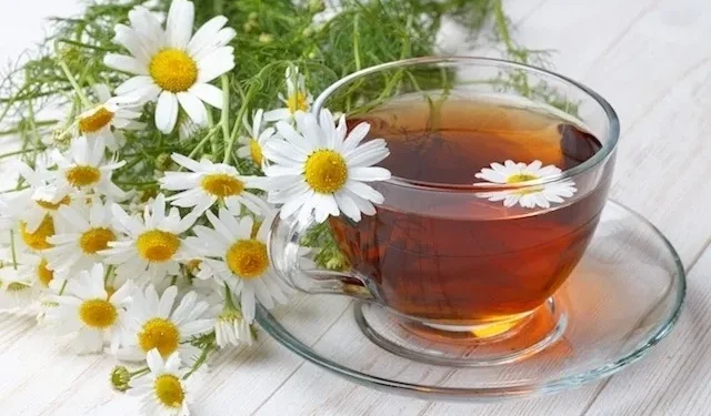 La manzanilla y sus beneficios para la salud