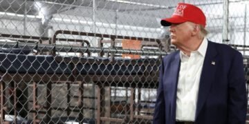 ‘Alligator Alcatraz’, la cárcel para inmigrantes rodeada de caimanes prevé cerrar en cuestión de días