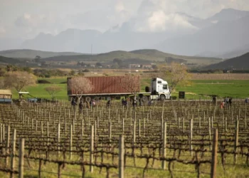 Los granjeros blancos sudafricanos que defiende Trump, primeras víctimas de sus aranceles