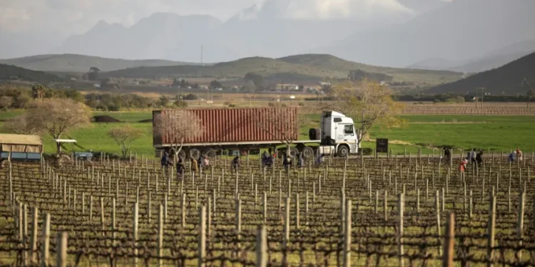 Los granjeros blancos sudafricanos que defiende Trump, primeras víctimas de sus aranceles