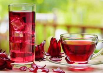 15 razones por las que la flor de Jamaica debería estar en tu dieta