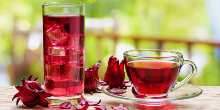 15 razones por las que la flor de Jamaica debería estar en tu dieta