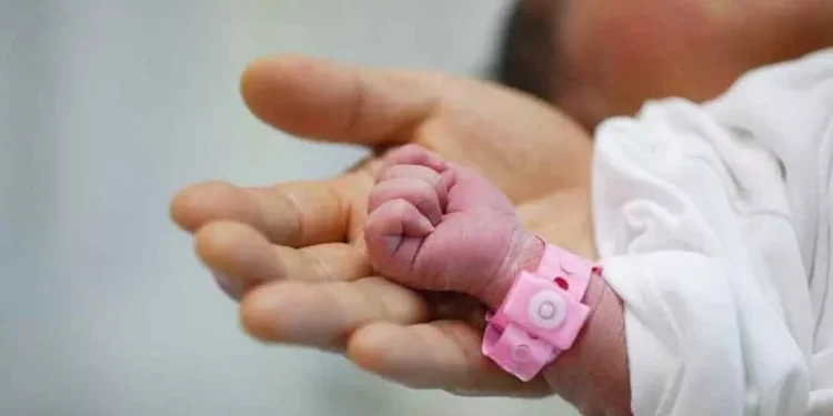 Gobierno de Trump lleva nuevamente al Supremo la ciudadanía por nacimiento en EE.UU.