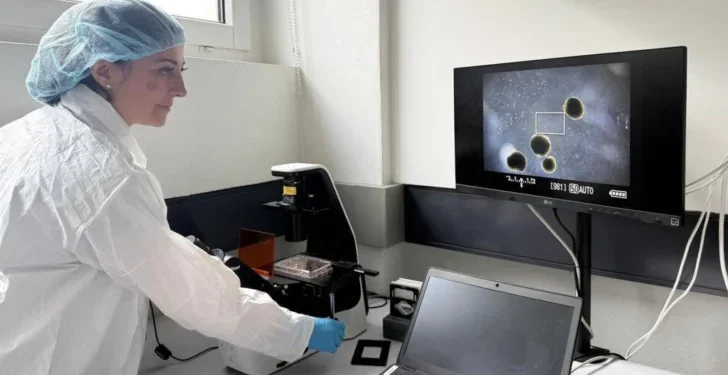 Los minicerebros humanos desarrollados por científicos para ‘alimentar’ computadoras