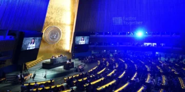 ONU y democracia: ¿qué papel juega hoy la organización mundial?