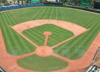 Terreno del Quisqueya recupera su esplendor