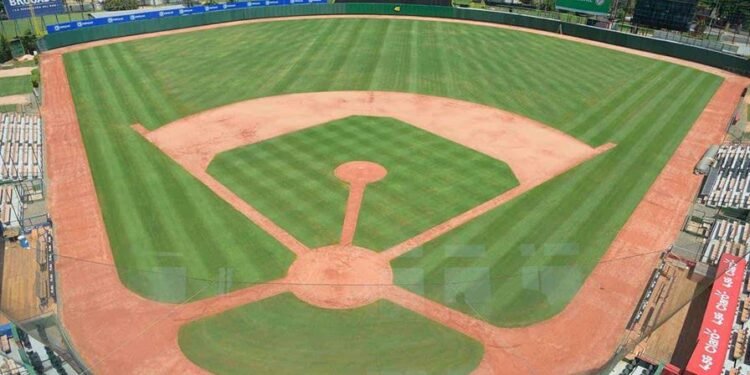 Terreno del Quisqueya recupera su esplendor