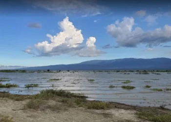 Denuncian “crimen ecológico” en Laguna Rincón, de Cabral