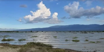 Denuncian “crimen ecológico” en Laguna Rincón, de Cabral