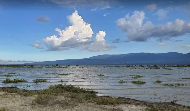 Denuncian “crimen ecológico” en Laguna Rincón, de Cabral
