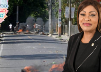 Diputada del PRM propone aumento salarial a medio millón de pesos para cubrir gastos de legisladores