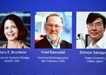 ¿Que es la tolerancia inmunológica periférica que ha justificado hoy el Premio Nobel?