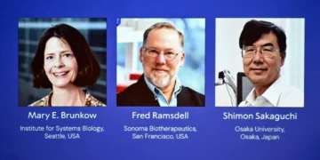 ¿Que es la tolerancia inmunológica periférica que ha justificado hoy el Premio Nobel?