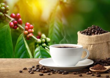 1 de octubre Día Internacional del Café