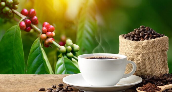 1 de octubre Día Internacional del Café