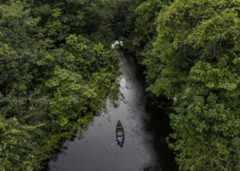Brasil promoverá ambicioso fondo de inversión que permitirá pagar a países por preservar bosques