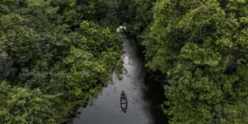 Brasil promoverá ambicioso fondo de inversión que permitirá pagar a países por preservar bosques