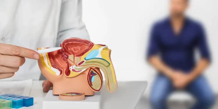 Cáncer de próstata representa el 45% de los casos de cáncer en hombres en República Dominicana