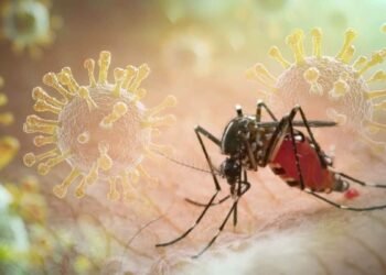 Cuba encara brote de dengue y chikunguña con 47.125 ingresados y esfuerzos «insuficientes»