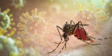 Cuba encara brote de dengue y chikunguña con 47.125 ingresados y esfuerzos «insuficientes»