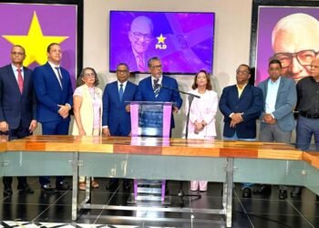 PLD denuncia desplome del sector construcción; presenta medidas urgentes de rescate.