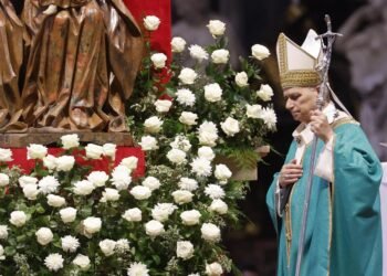 El papa alerta sobre los «sesgos» en la sanidad y señala a la IA como ejemplo
