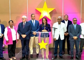 PLD denuncia desplome de la economía golpea a MiPymes; propone soluciones | Video