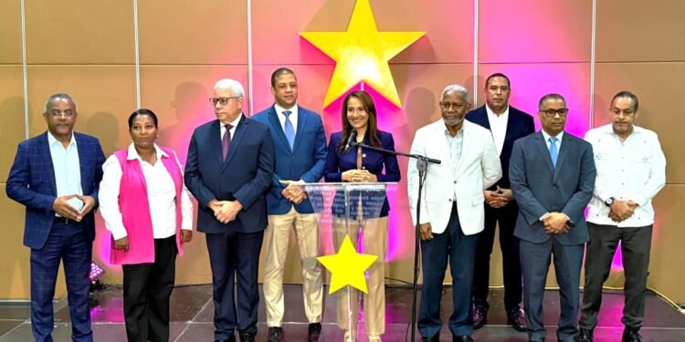 PLD denuncia desplome de la economía golpea a MiPymes; propone soluciones | Video