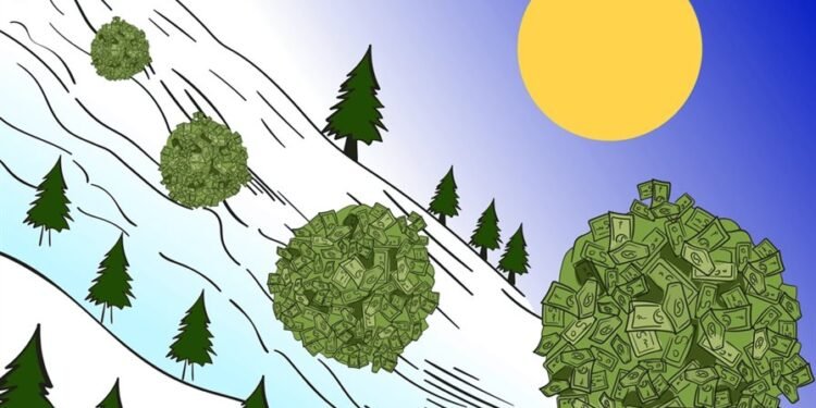 Convierte tus ahorros en riqueza: el poder del efecto bola de nieve financiero