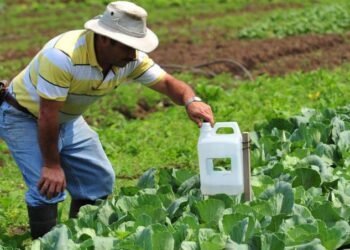 Colapsó la agropecuaria en el 2025 | Video