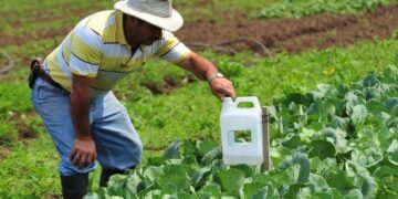 Colapsó la agropecuaria en el 2025 | Video