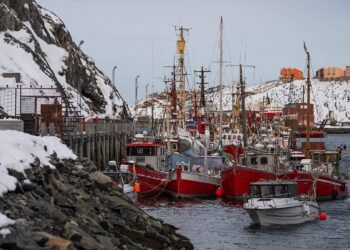 Comercio y alianza militar: la presencia de Rusia y China en el Ártico