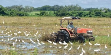 PRM ha propiciado catástrofe agropecuaria. El virus de las importaciones