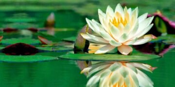 Tercer mes/Curiosidades de marzo: desde un eclipse lunar hasta el inicio de la primavera