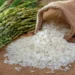 La región Norte concentra el 91.5% de la producción nacional de arroz