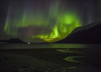 Cuáles son los países más felices del mundo: los nórdicos lideran la estadística