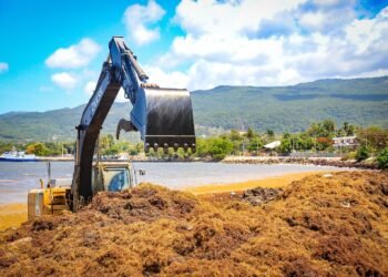 República Dominicana tendrá “norma especial” para combatir sargazo