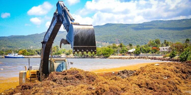 República Dominicana tendrá “norma especial” para combatir sargazo