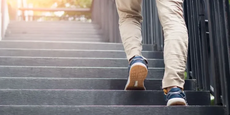 Subir escaleras reduce hasta un 39% el riesgo de enfermedades cardíacas, según estudio