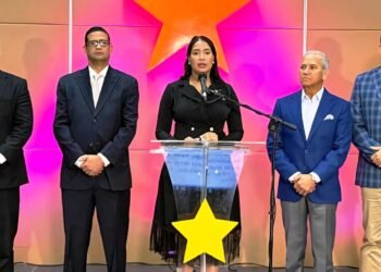 PLD denuncia crisis de violencia, inseguridad ciudadana y ausencia de plan de prevención de parte del Gobierno