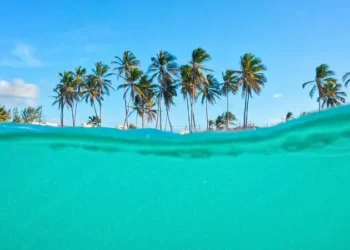 La «Isla del Ayer», la «Isla del Mañana» y otras islas con fronteras curiosas que comparten varios países