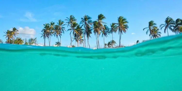 La «Isla del Ayer», la «Isla del Mañana» y otras islas con fronteras curiosas que comparten varios países