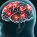 Estudio sugiere que el cerebro aprende incluso en estado inconsciente