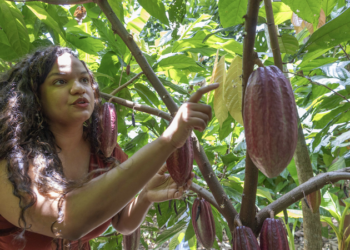 De Australia a Oriente Medio: las hermanas dominicanas que llevan el cacao del país al mundo