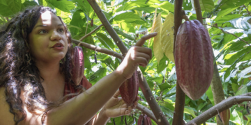 De Australia a Oriente Medio: las hermanas dominicanas que llevan el cacao del país al mundo