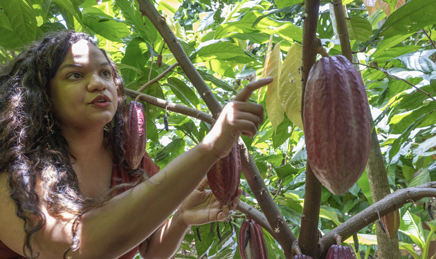 De Australia a Oriente Medio: las hermanas dominicanas que llevan el cacao del país al mundo