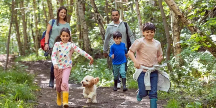 Cómo estar apenas 20 minutos en contacto con la naturaleza puede mejorar tu salud