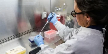 ¿Qué saben los científicos argentinos sobre el Hantavirus Andes?