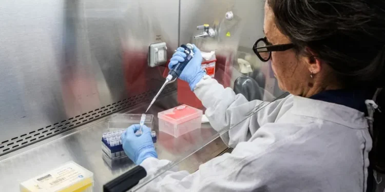 ¿Qué saben los científicos argentinos sobre el Hantavirus Andes?